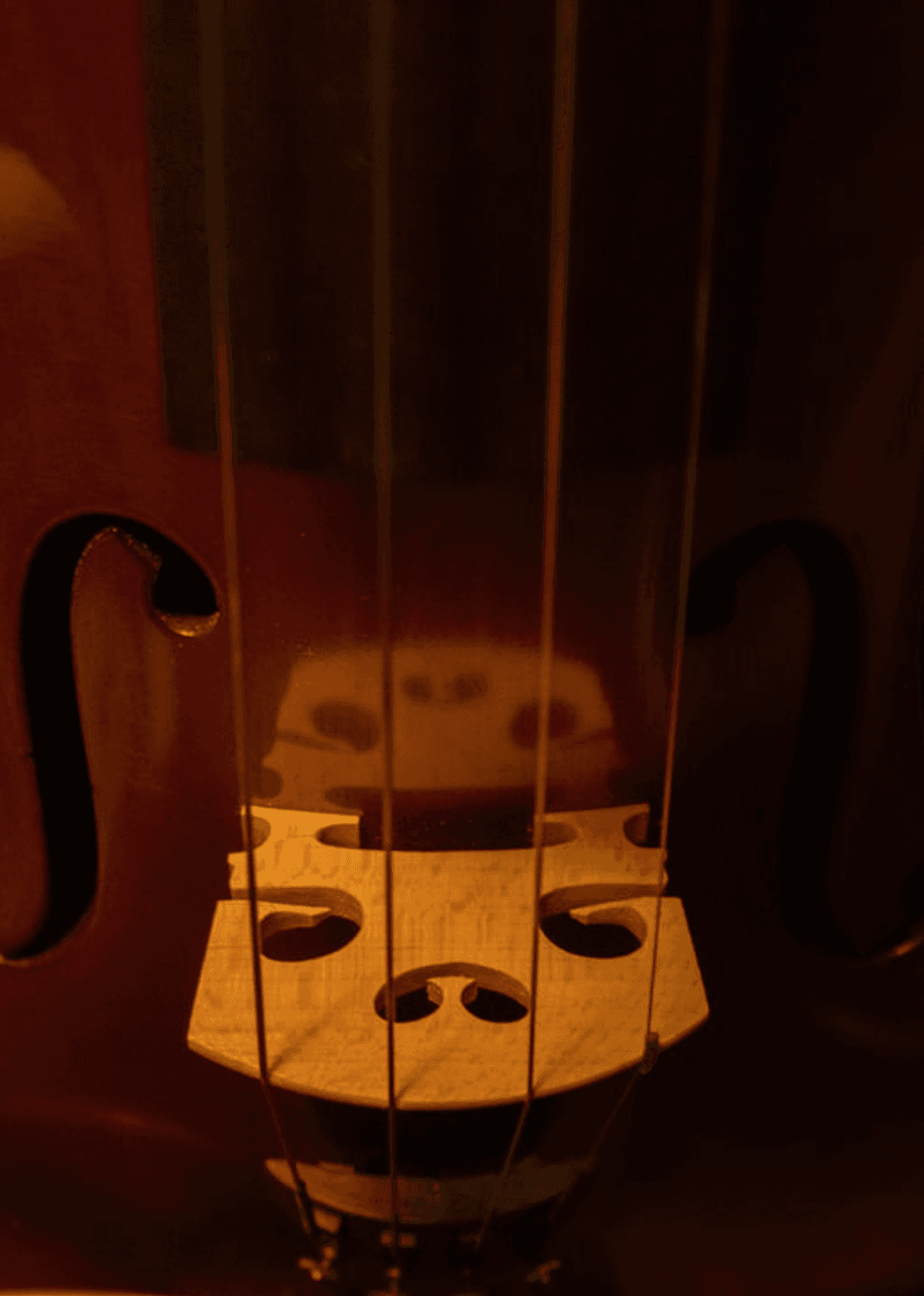 Aria Strings Quartet
